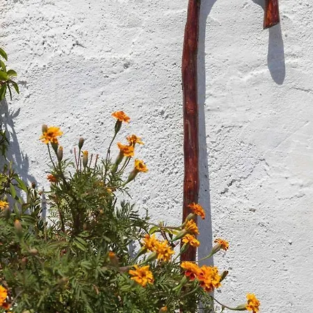 بيت للعطل Hamezi House - Authentic Cretan Escape